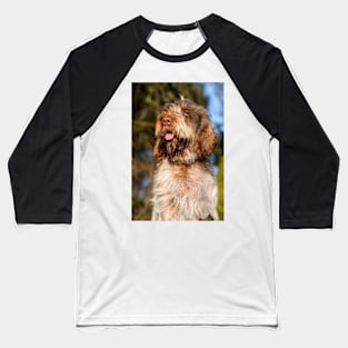 Sunny day Spinone Baseball T-Shirt